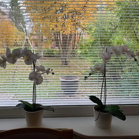 Jokkerin Ja Virpin Appartement